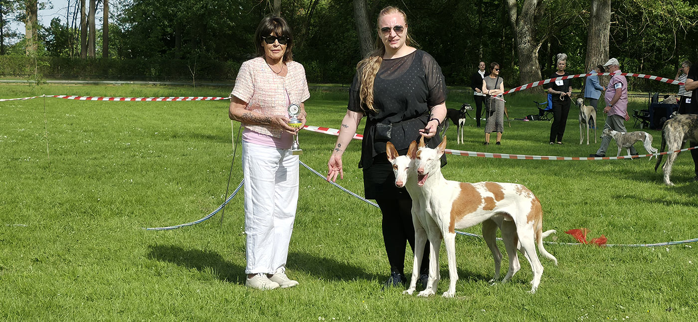 Türinger Windhundclub, Tüttleben, CAC Okt. 2023