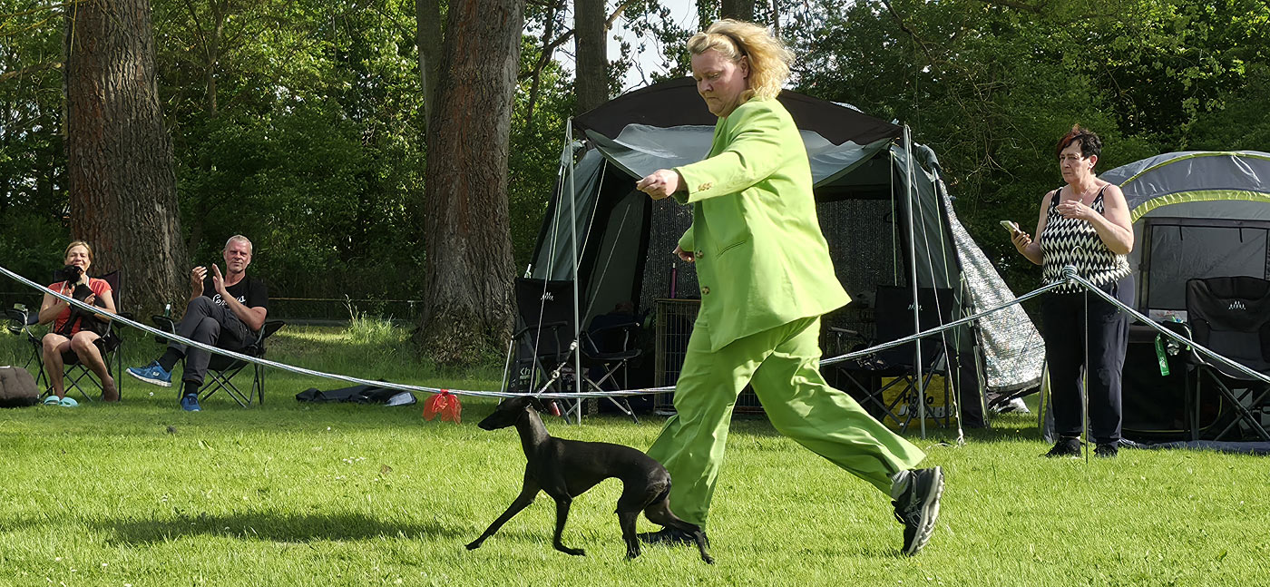 Türinger Windhundclub, Tüttleben, CAC Okt. 2023