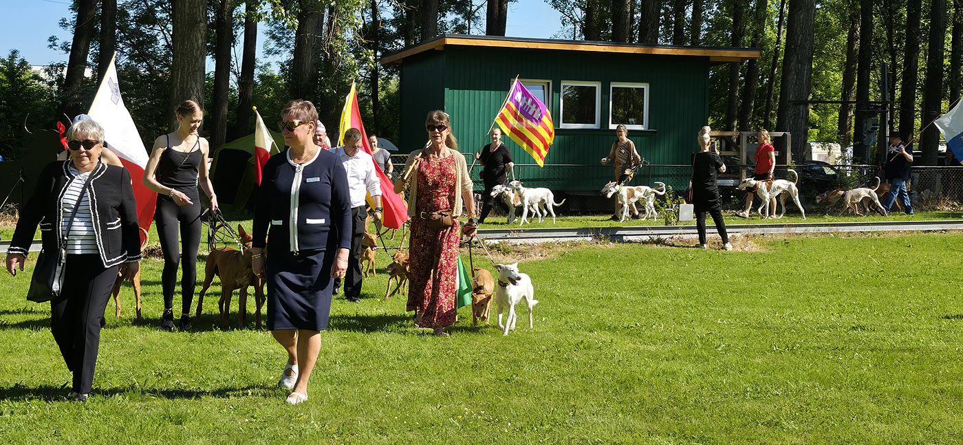 Türinger Windhundclub, Tüttleben, CAC Okt. 2023