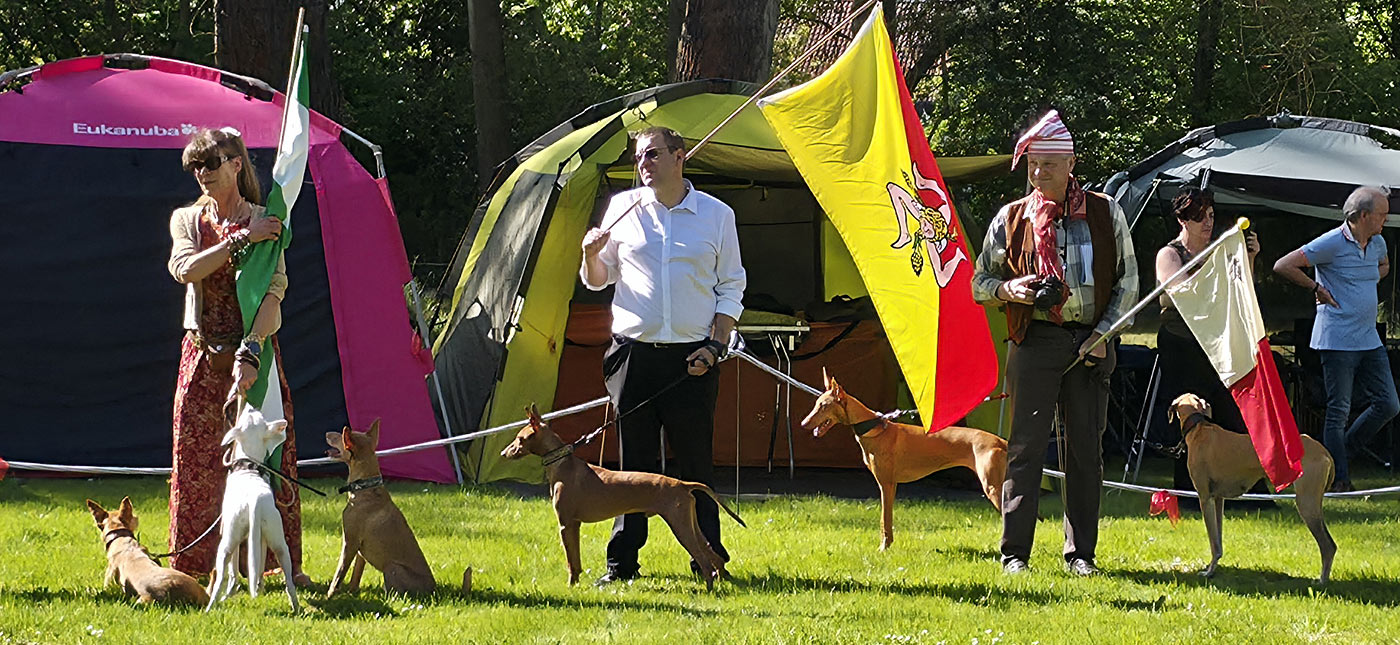 Türinger Windhundclub, Tüttleben, CAC Okt. 2023